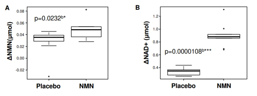 【科研进展】12 周的 NMN 补充剂可改善人体的肌肉功能