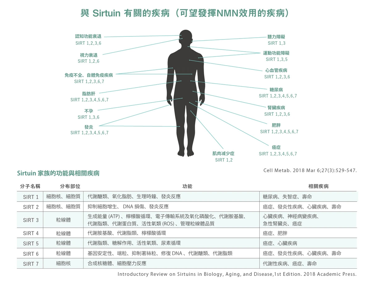 也许能改变未来世界的NMN！