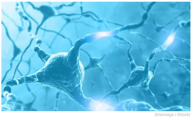 【科技进展】NMN 保护大脑：预防神经元死亡和改善认知