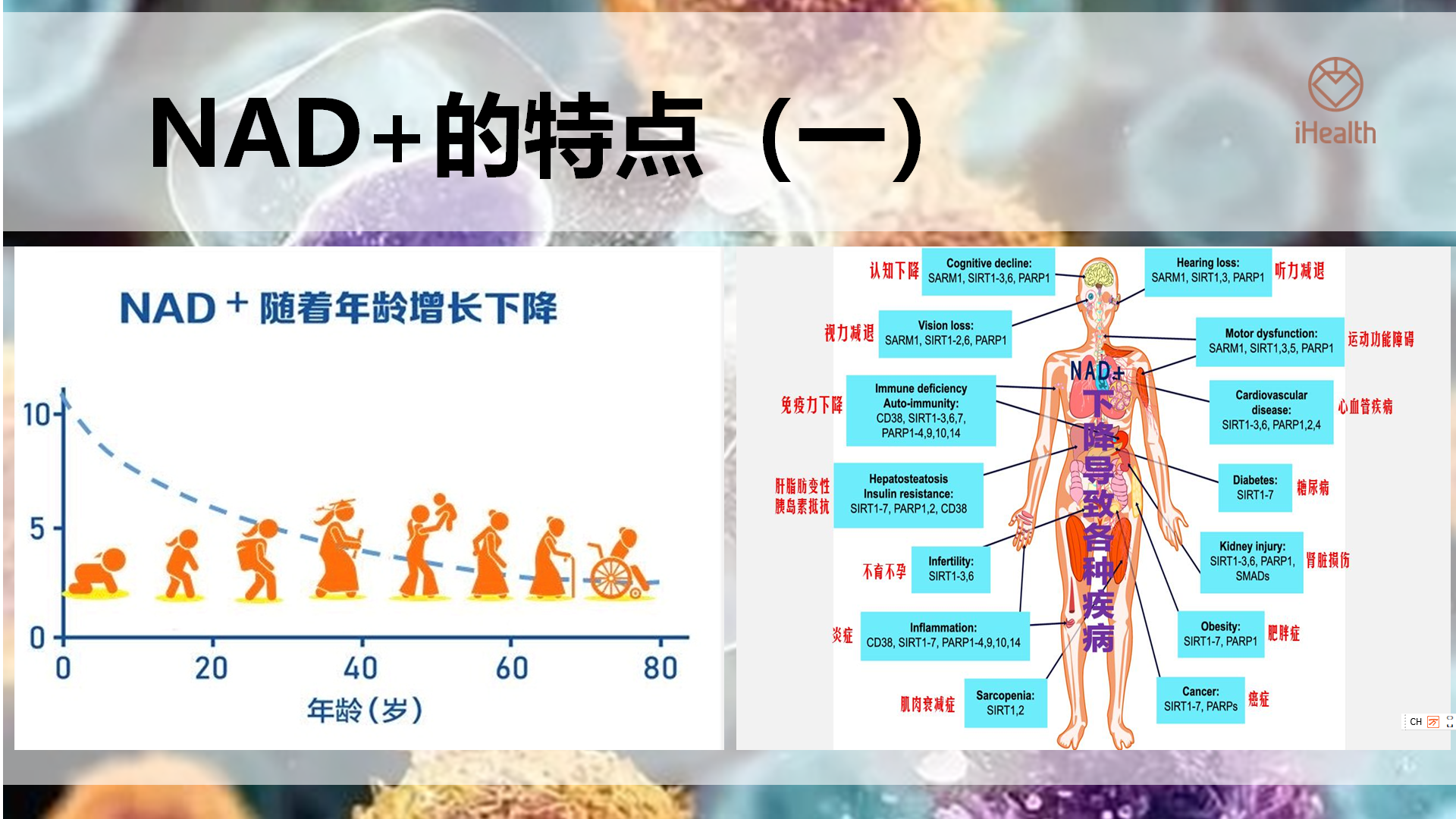 使人健康和长寿的方法 — NMN将带来抗衰老的新纪元