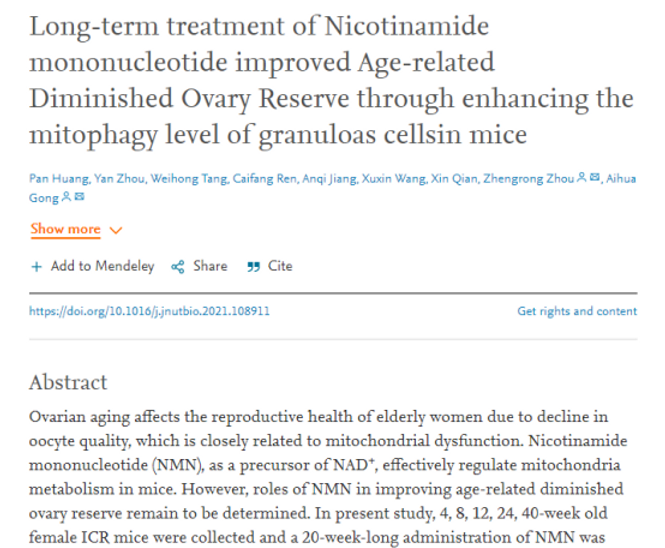 NMN 助力生育力再添锤：NMN促进细胞自噬，改善卵巢功能