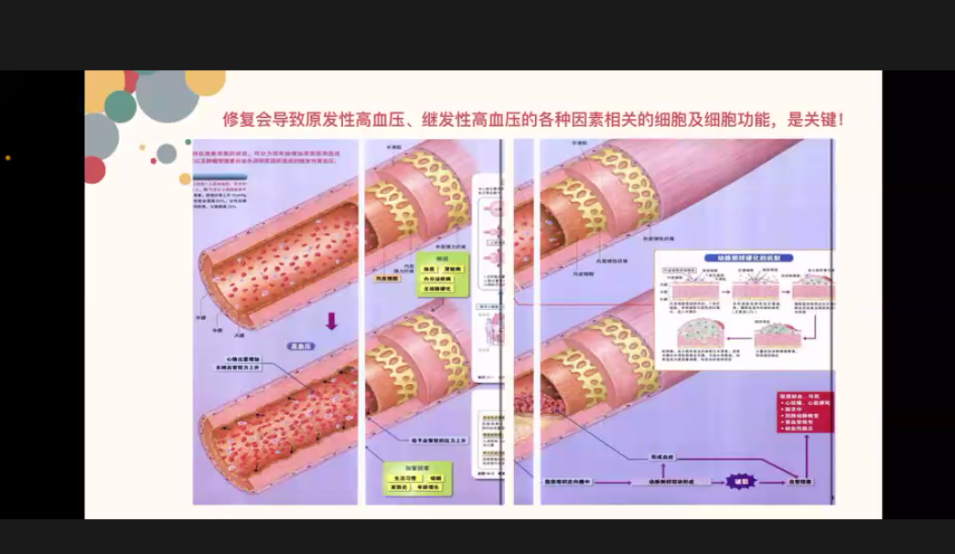 细胞优化和药品的区别