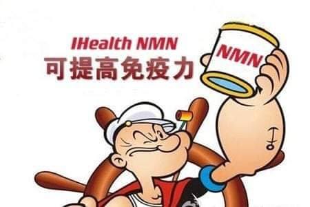NMN帮助增强多少免疫力？