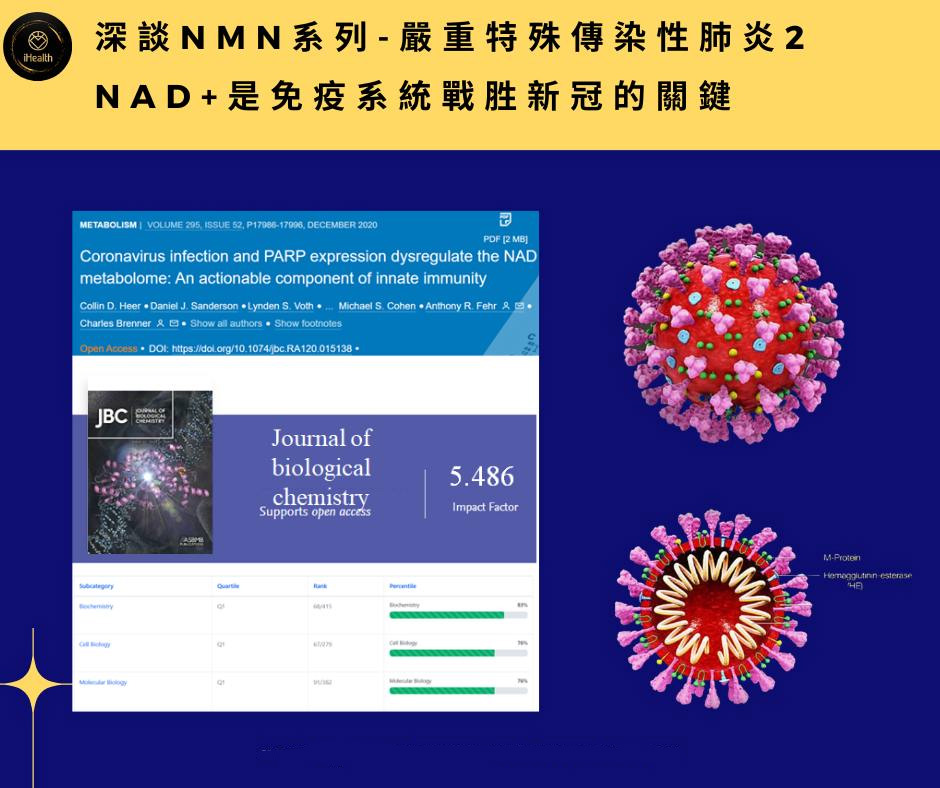 《深谈NMN系列-严重特殊传染性肺炎2》- NAD+是免疫系统战胜新冠的关键