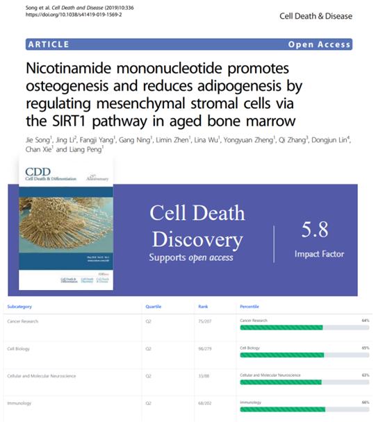 《深谈NMN系列-骨质疏松》1 NMN 刺激骨髓干细胞形成更多的骨骼和更少的脂肪