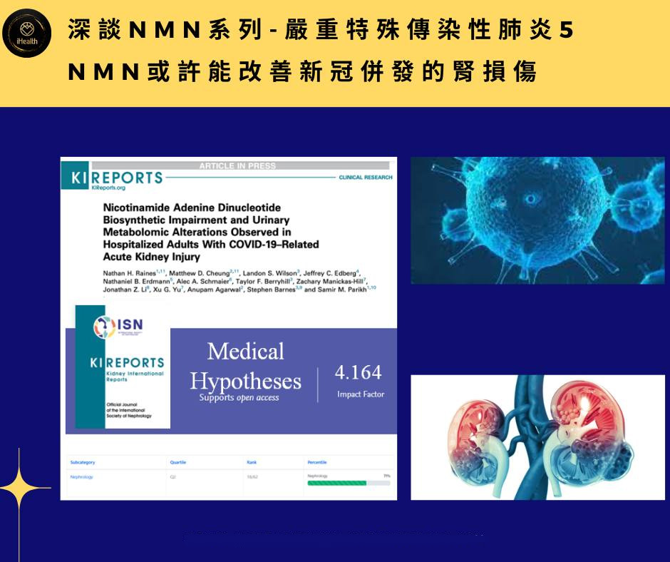 《深谈NMN系列-严重特殊传染性肺炎5》 NMN或许能改善新冠并发的肾损伤