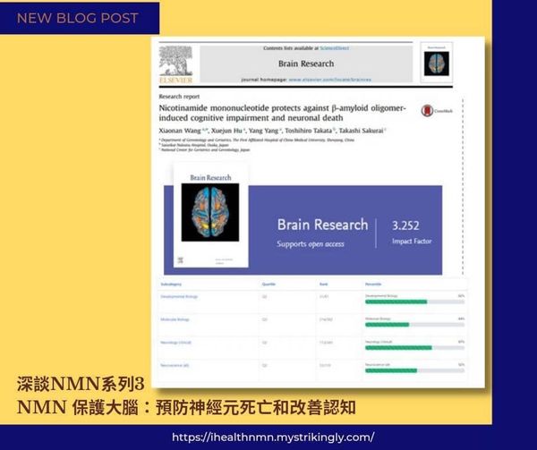 【深谈NMN系列】3、NMN保护大脑：预防神经元死亡和改善认知