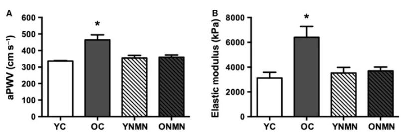 【科技进展】NMN 可逆转衰老小鼠的血管功能障碍