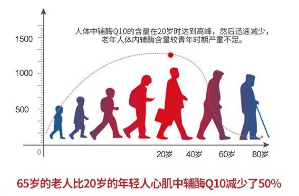 第101块砖