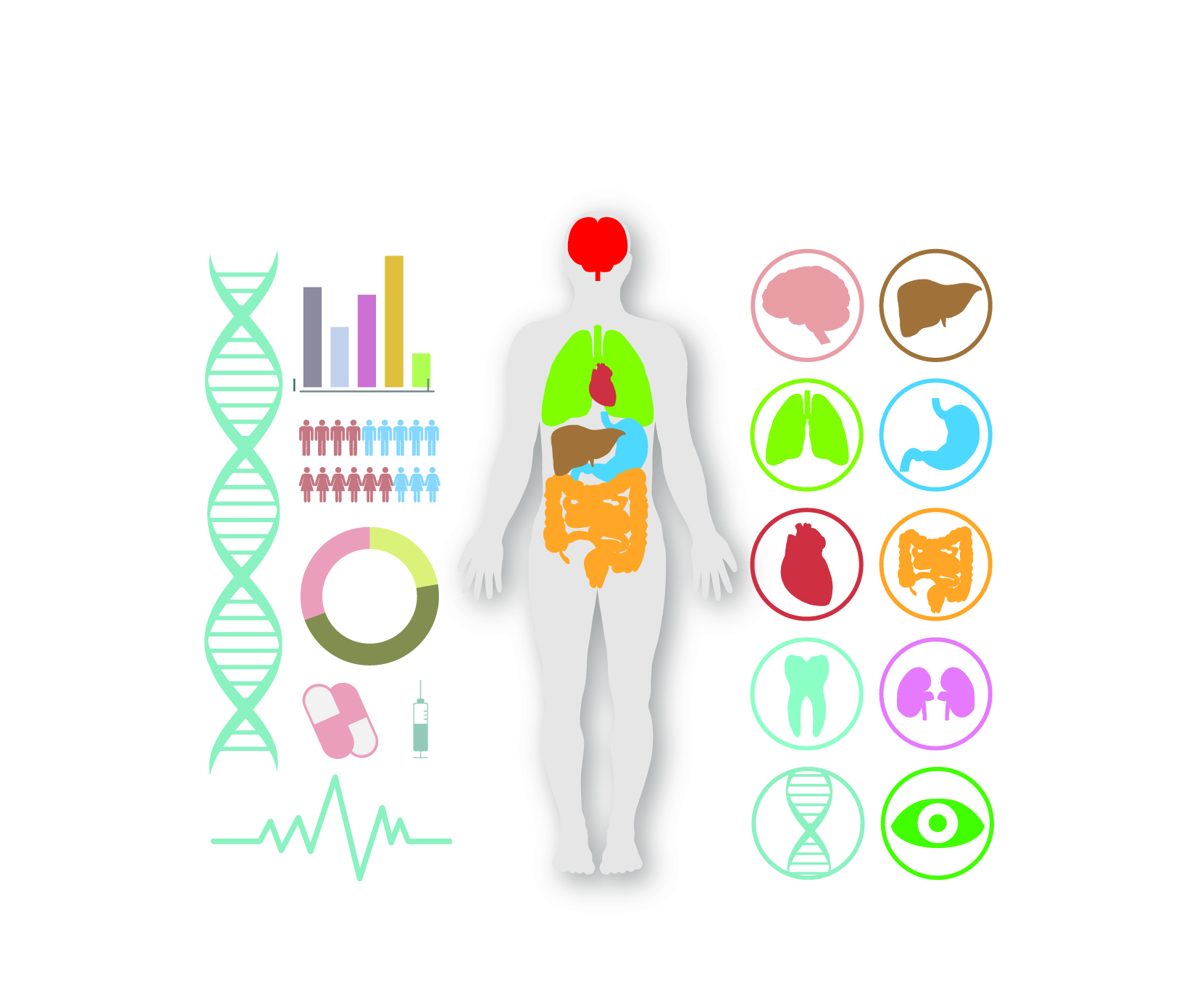 Nicotinamide Mononucleotide (NMN): Benefits, Side Effects & Dosage